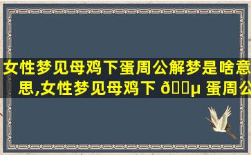 女性梦见母鸡下蛋周公解梦是啥意思,女性梦见母鸡下 🌵 蛋周公解梦是啥意思啊